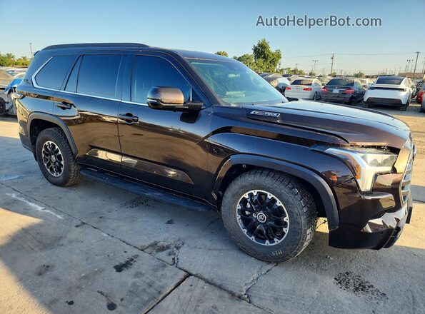2023 TOYOTA SEQUOIA SR5
