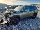 2022 Subaru Forester Wilderness Green vin: JF2SKAMC0NH421546