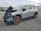 2025 Subaru Forester Sport Gray vin: JF2SLDHC6SH541128