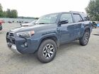 2024 Toyota 4runner Trd Off-road Premium Gray vin: JTERU5JR5R6219743
