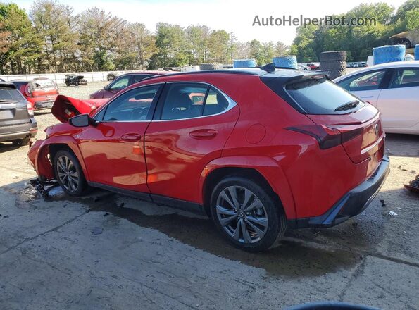 2024 LEXUS UX 250H F SPORT DESIGN
