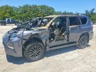 2023 Lexus Gx 460 Gray vin: JTJAM7BX0P5373514