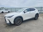 2023 Lexus Nx 350 White vin: JTJGGCEZ2P5005584