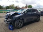 2024 Lexus Nx 350h Premium Gray vin: JTJGKCEZ9R5020097