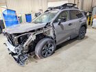 2026 Toyota Rav4 Woodland Gray vin: JTM6CRAV2TD000787