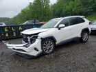 2020 Toyota Rav4 Xle Premium White vin: JTMA1RFV4LD528596