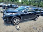 2019 Toyota Rav4 Le Черный vin: JTMF1RFV2KD503717