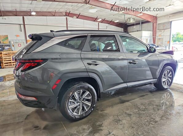 2024 HYUNDAI TUCSON BLUE