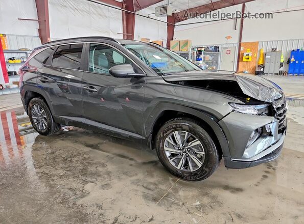 2024 HYUNDAI TUCSON BLUE