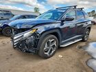 2024 Hyundai Tucson Sel Convenience Blue vin: KM8JCCD12RU190000