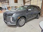 2025 Hyundai Palisade Sel Gray vin: KM8R2DGE0SU954894