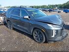 2023 Hyundai Palisade Xrt Gray vin: KM8R3DGE1PU512016