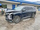 2024 Hyundai Palisade Calligraphy Green vin: KM8R7DGE2RU685535