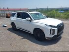 2025 Hyundai Palisade Calligraphy Night Edition White vin: KM8R7DGE3SU842740