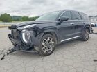 2021 Hyundai Palisade Calligraphy Black vin: KM8R7DHE0MU187339