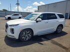 2021 Hyundai Palisade Calligraphy White vin: KM8R7DHE8MU220703