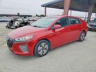 2019 Hyundai Ioniq Blue Red vin: KMHC65LC4KU176068