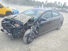 2019 Hyundai Ioniq Sel Black vin: KMHC75LC0KU106015