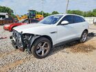 2017 Jaguar F-pace Premium Белый vin: SADCJ2BVXHA049490