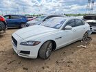 2016 Jaguar Xf White vin: SAJBD4BV4GCY07564