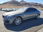 2017 Jaguar Xf Prestige Gray vin: SAJBK4BV0HCY39533