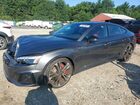 2021 Audi S5 Premium Plus Gray vin: WAUC4CF56MA046192
