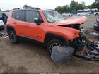 2016 Jeep Renegade Trailhawk Оранжевый vin: ZACCJBCT5GPD24593