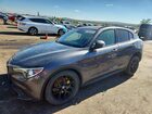 2019 Alfa Romeo Stelvio Gray vin: ZASPAKAN4K7C49064