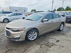 2024 Chevrolet Malibu Lt Gray vin: 1G1ZD5ST6RF170981