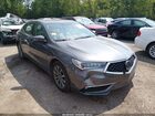 2020 Acura Tlx Standard Gray vin: 19UUB1F36LA001219