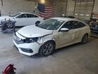 2016 Honda Civic Lx White vin: 19XFC2F56GE035353