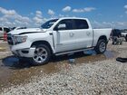 2019 Ram 1500 Big Horn/lone Star White vin: 1C6RREFT0KN893943