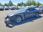 2017 Ford Mustang Black vin: 1FA6P8AM6H5237490