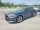 2017 Ford Mustang Gray vin: 1FA6P8AM8H5304705