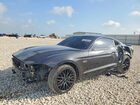 2023 Ford Mustang Gt Black vin: 1FA6P8CF0P5302427
