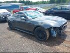 2019 Ford Mustang Gt Premium Серый vin: 1FA6P8CF2K5132614