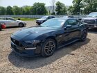 2019 Ford Mustang Gt Black vin: 1FA6P8CF3K5132086