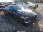 2019 Ford Mustang Gt Black vin: 1FA6P8CF8K5131905