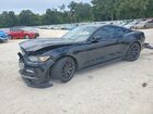 2016 Ford Mustang Gt Black vin: 1FA6P8CF9G5284011