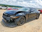 2019 Ford Mustang Black vin: 1FA6P8TH2K5200959