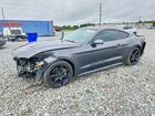2020 Ford Mustang Серый vin: 1FA6P8TH2L5103827