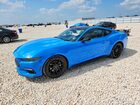 2024 Ford Mustang Blue vin: 1FA6P8TH5R5135034