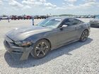 1FA6P8TH8J5104087
