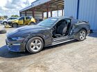 2019 Ford Mustang Black vin: 1FA6P8TH8K5180412
