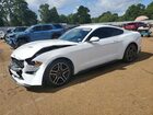2019 Ford Mustang White vin: 1FA6P8TH9K5133891