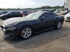 2024 Ford Mustang Black vin: 1FA6P8TH9R5110220