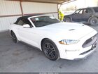 2019 Ford Mustang Ecoboost Premium White vin: 1FATP8UH4K5162474