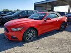 2017 Ford Mustang Red vin: 1FATP8UH5H5267310