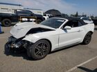 2020 Ford Mustang White vin: 1FATP8UH7L5119961