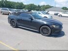 2016 Ford Mustang Ecoboost Premium Black vin: 1FATP8UH8G5300024